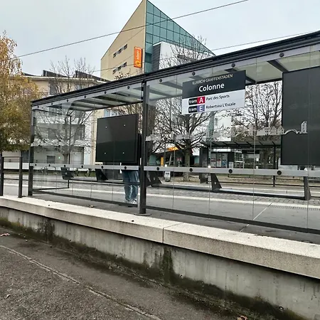 Avec Terrasse *